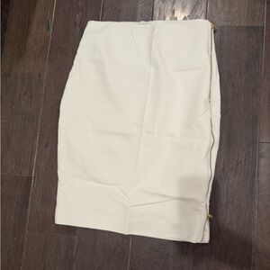 Express Pencil Skirt Side Zip 10
